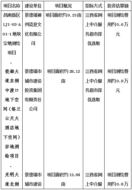 景德鎮(zhèn)市昌南新區(qū)LJ1-03-A01-1地塊、瓷都大道東側中渡口地下空間（格蘭云天大酒店地下空間）、光明大道北側利民路西側地下空間（青少年宮地下空間）、規(guī)劃二路北側地下空間地塊二（加速基地地下空間）、規(guī)劃二路北側地下空間地塊一（加速基地地下空間）、景德大道南側天寶橋西側地塊、景興大道東側如意路北側地下空間(社會公共服務